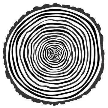 Tree rings. Stock Illustration