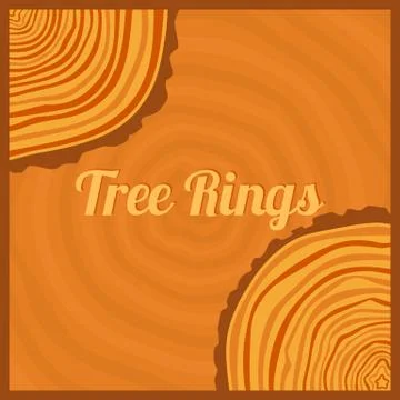 Tree rings. Stock Illustration