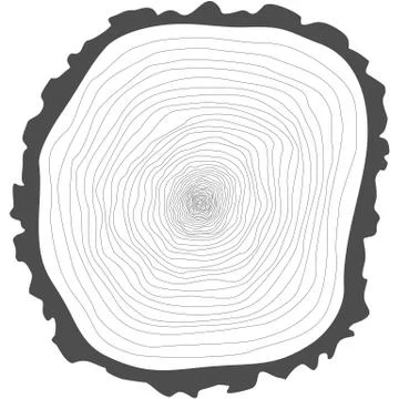 Tree rings. Stock Illustration
