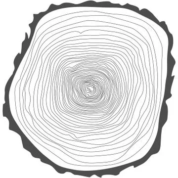 Tree rings. Stock Illustration