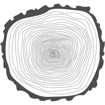 Tree rings. 스톡 일러스트