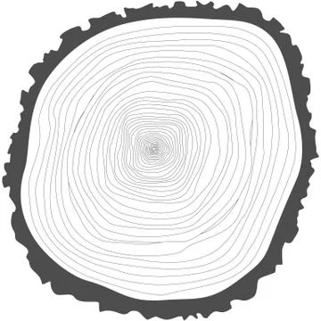 Tree rings. Stock Illustration