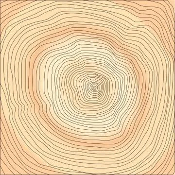 Tree rings Stock Illustration