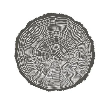 Tree rings illustration. template for annual reports Stock Illustration
