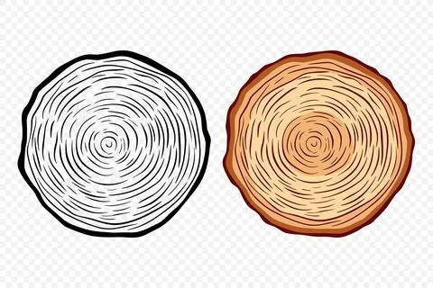 Tree Rings, Oak and Pine Slices, Lumber, and Timber Cross Section with Saw Cut Stock Illustration