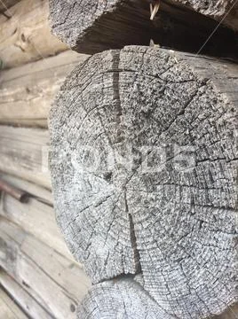 Tree rings old weathered wood texture Stock Photos