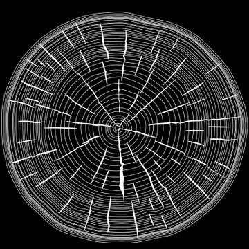 Tree rings saw cut tree trunk background. vector illustration. Stock Illustration