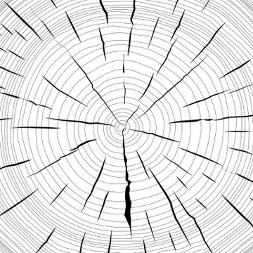 Tree rings saw cut tree trunk background. vector illustration. イラスト素材