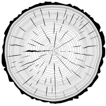 Tree rings saw cut tree trunk background. vector illustration. Stock Illustration