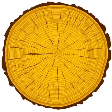 Tree rings saw cut tree trunk background. vector illustration. イラスト素材