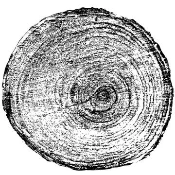 Tree rings saw cut tree trunk background. Vector illustration 스톡 일러스트
