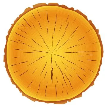Tree rings saw cut tree trunk background on white background. Stock Illustration