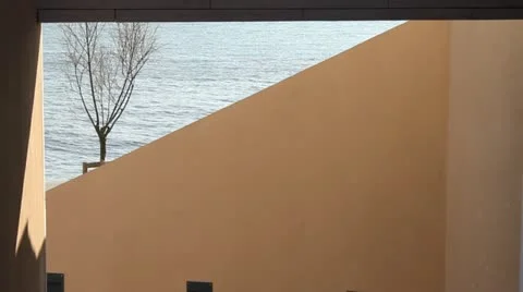 Tree, River and Wall Composition Stock Footage 21648105