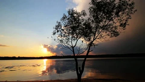 A tree on the river bank at sunset. Stock Footage 155243437