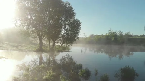 Tree on the river at sunrise 스톡 동영상 196555540