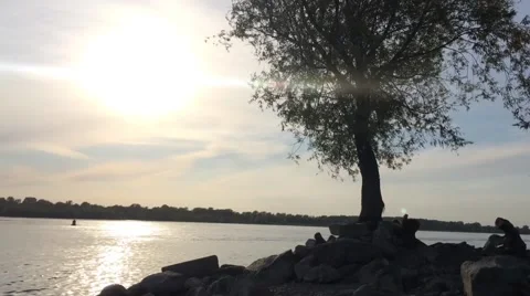Tree by the river at sunset Stock Footage 68085865