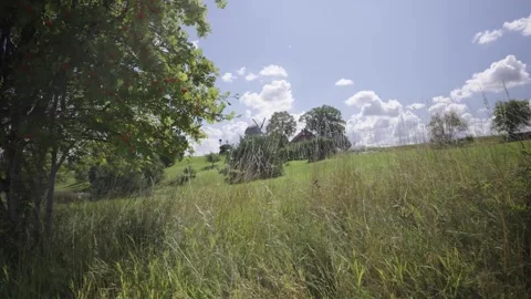 Tree by the road against the background of the mill in spring Stock Footage 331733550