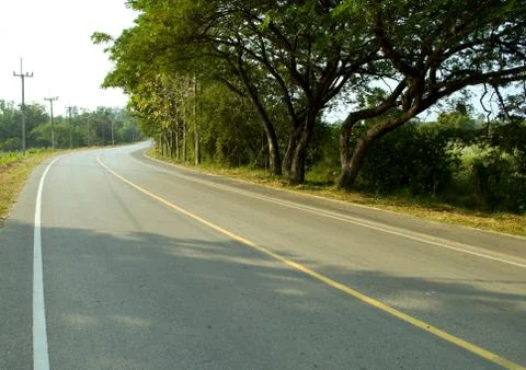 Tree on the road Stock Photos