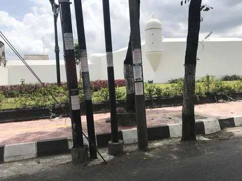 A tree by the roadside Foto stock
