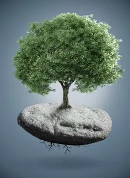 Tree on rock Stock Illustration
