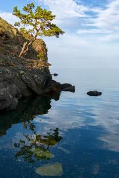 The tree on the rock is reflected in the water Stock Photos