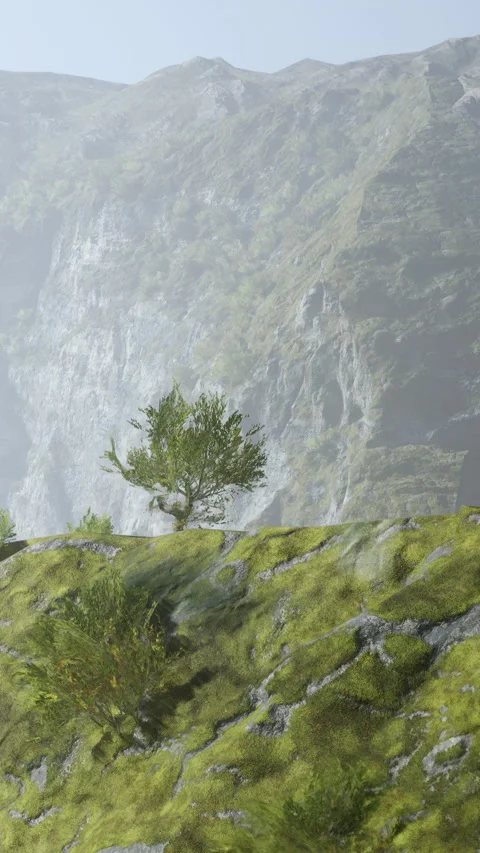 Tree on rocky hillside with mountains in background on a cloudy day Video stock 335692095