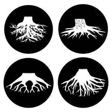 Tree root icon Stock Illustration
