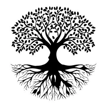 Tree root Stock Illustration