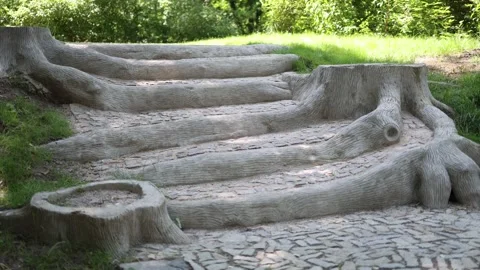 Tree root inspired steps curve naturally into a forest slope carved like giant t Video stock 311648761