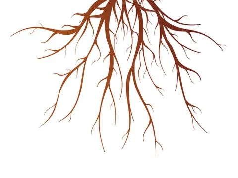 Tree Root Isolated Illustration Stock Illustration