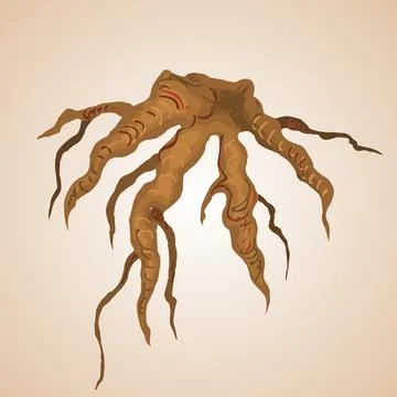 Tree root isolated illustration Stock Illustration