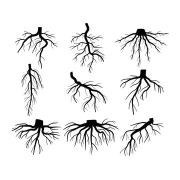 Tree root set cartoon vector illustration Stock Illustration