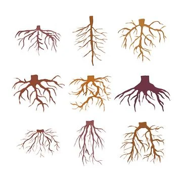 Tree root set cartoon vector illustration Illustrazione stock