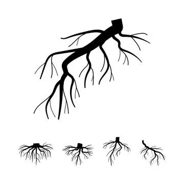 Tree root systems providing strong natural foundation Stock Illustration