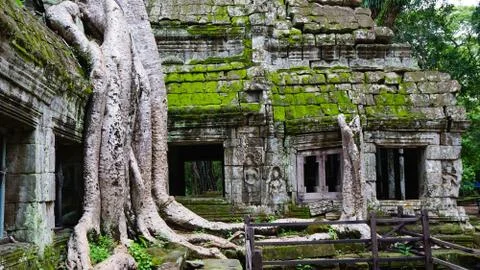 Tree Root &amp; Temple (Angkor Wat, Siem Reap, Cambodia) Stock Photos