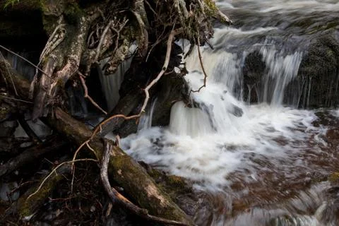 Tree root waterfall Stock Photos