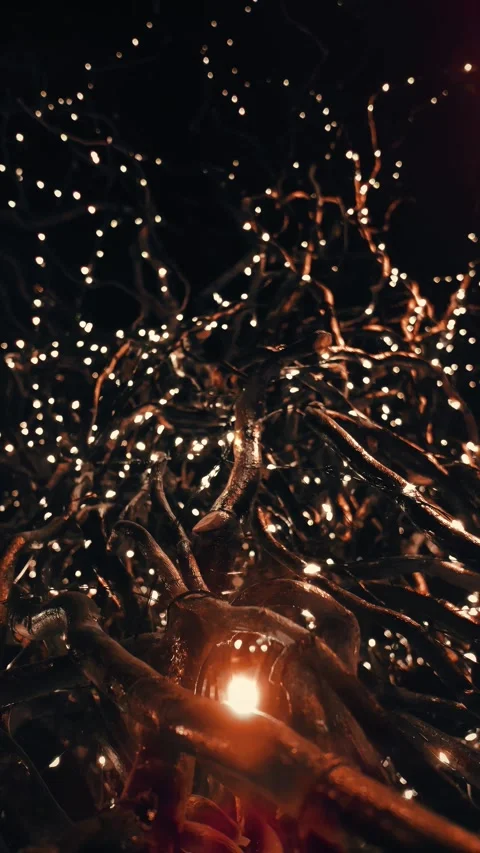 Tree root weave on a dark background 库存影片 304129788