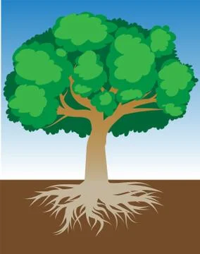 Tree with roots and dense foliage, vector illustration Stock Illustration
