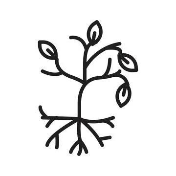 Tree with roots and leaves icon line art vector Stock Illustration