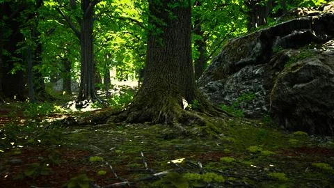 Tree roots and sunshine in a green forest Stock Illustration