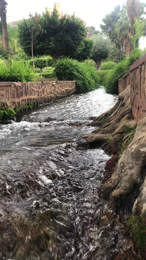 Tree Roots Beside Flowing Stream with Stone Wall in Green Park Video stock 328684186