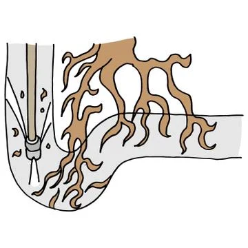 Tree roots clogging a pipe Stock Illustration