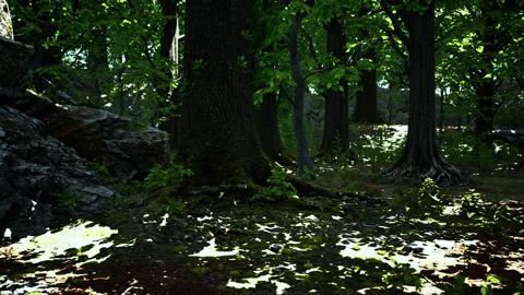 Tree roots with green moss at spring Stock Footage 233910573