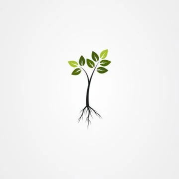Tree with the roots, green spring tree vector illustration. Stock Illustration