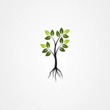 Tree with the roots, green spring tree vector illustration. Stock Illustration
