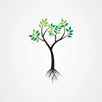 Tree with the roots, green spring tree vector illustration. Stock Illustration