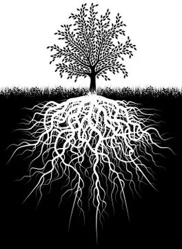 Tree roots Stock Illustration