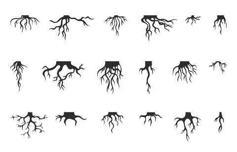 Tree roots isolated collection. Nature root silhouettes, stammer different Stock Illustration