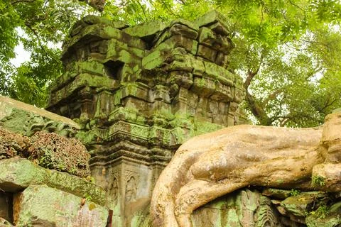 Tree roots over the Ta Prohm, a temple at Angkor, Province, Cambodia Stock Photos