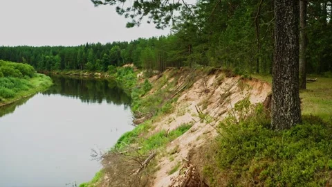 Tree roots overhanging from the bluff above the water. Rivers Journey, Silently Stock Footage 257767418